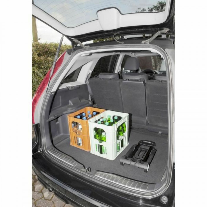 Kruiwagen Meister DIABLO PL 8985730 Zwart