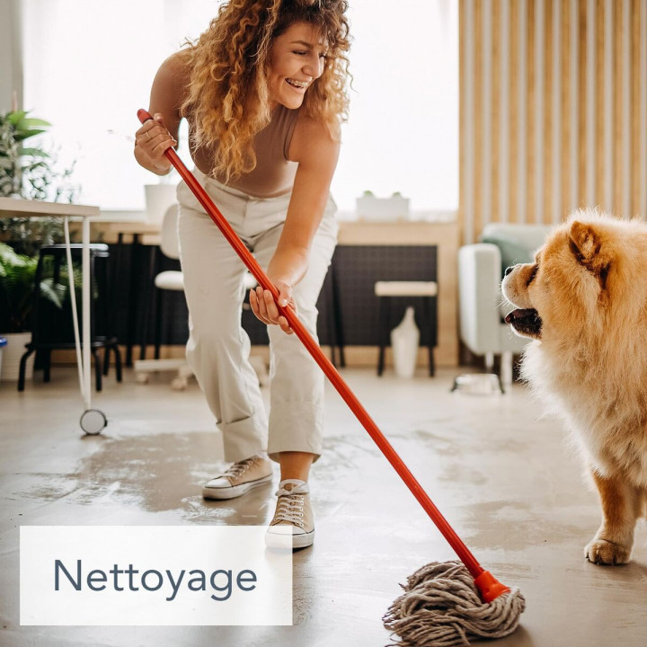 Desinfectante Saniterpen 1 L