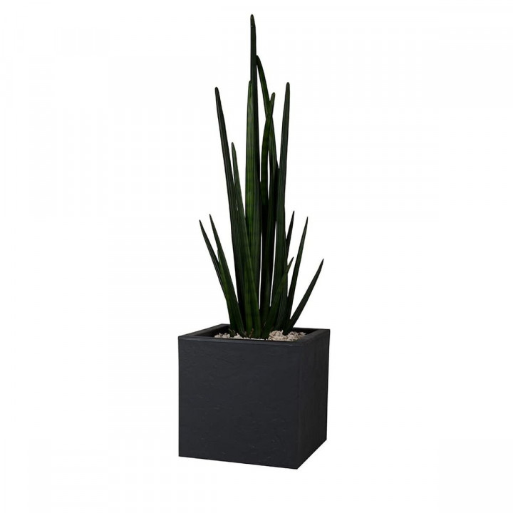 Blumenkasten EDA Polypropylen Kunststoff rechteckig (Restauriert B)