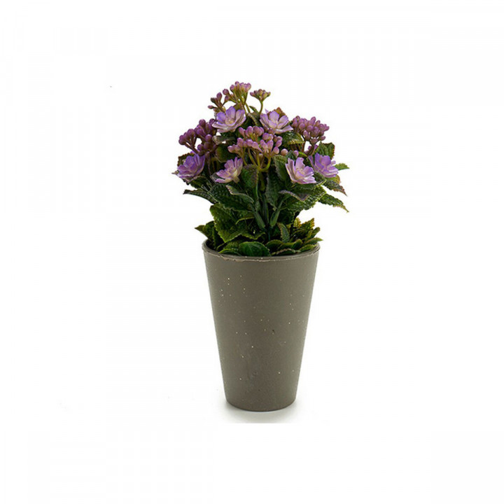 Decoratieve plant Ibergarden Plastic 11 x 22 x 11 cm