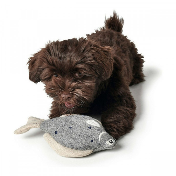 Knuffel voor honden Hunter Skagen Grijs Polyester Vis
