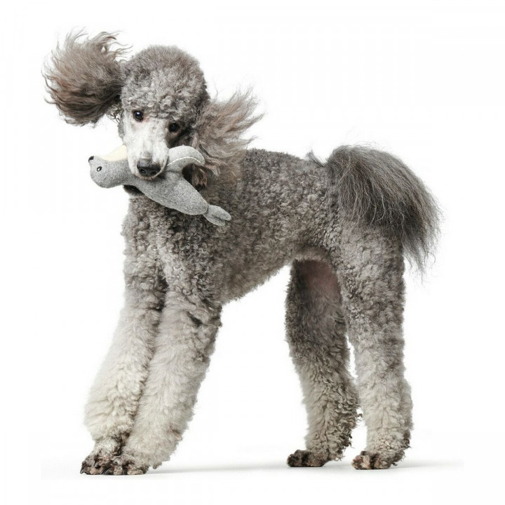 Peluche per cani Hunter Skagen Grigio Poliestere Bisonte