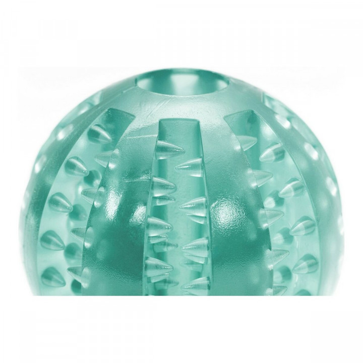 Hundespielzeug Gloria Zahnpflege 7 cm Bunt TPR