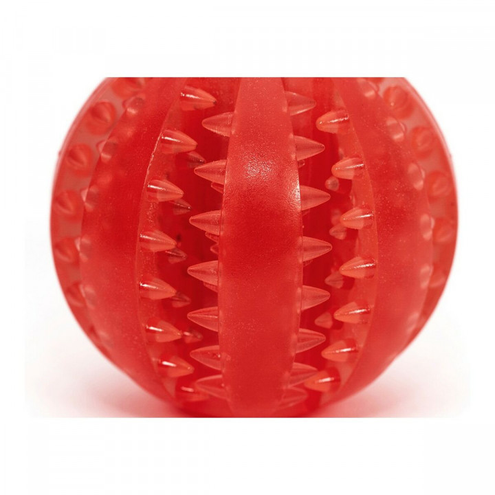 Hondenspeelgoed Gloria Tandverzorging TPR Gesorteerde kleuren (6 cm)