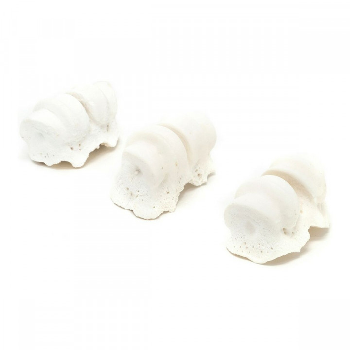 Snack per Cani Gloria Carne di vitello Calcio Nocche