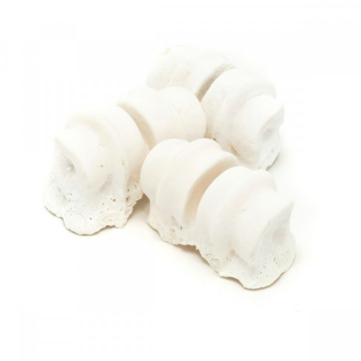 Dog Snack Gloria Veal Calcium Knuckles