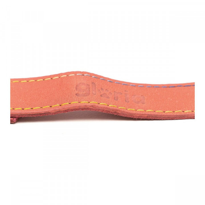 Hondenriem Gloria Oasis 3 x 60 cm Roze