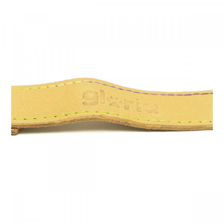 Hondenriem Gloria Oasis 2.1 x 100 cm Geel
