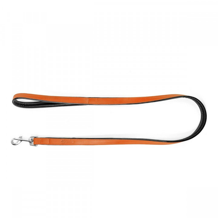 Laisse pour Chien Gloria 1.8 x 100 cm Orange