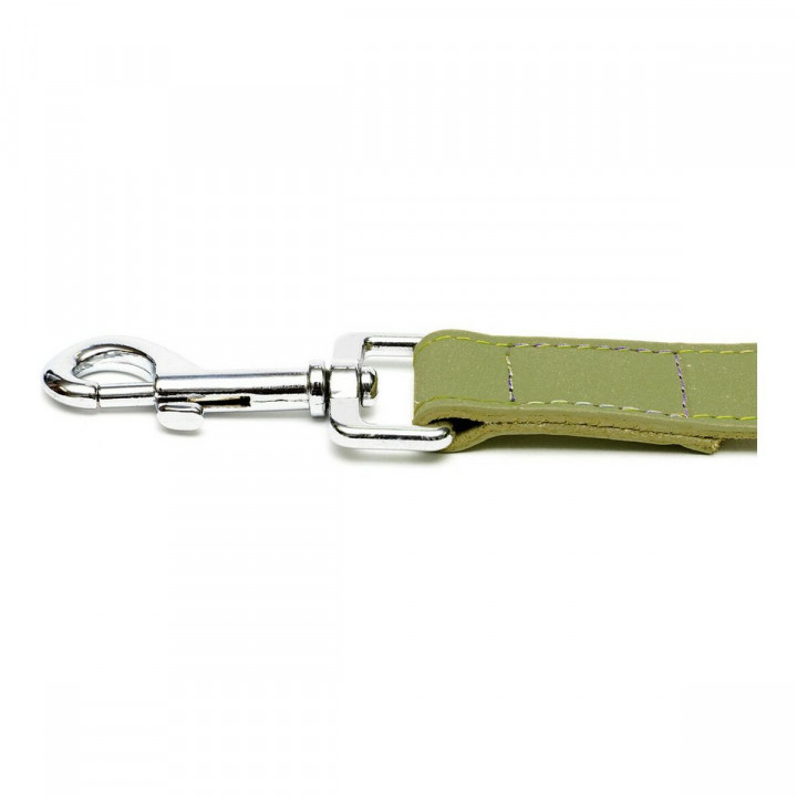 Dog Lead Gloria Oasis 2.1 x 100 cm Green