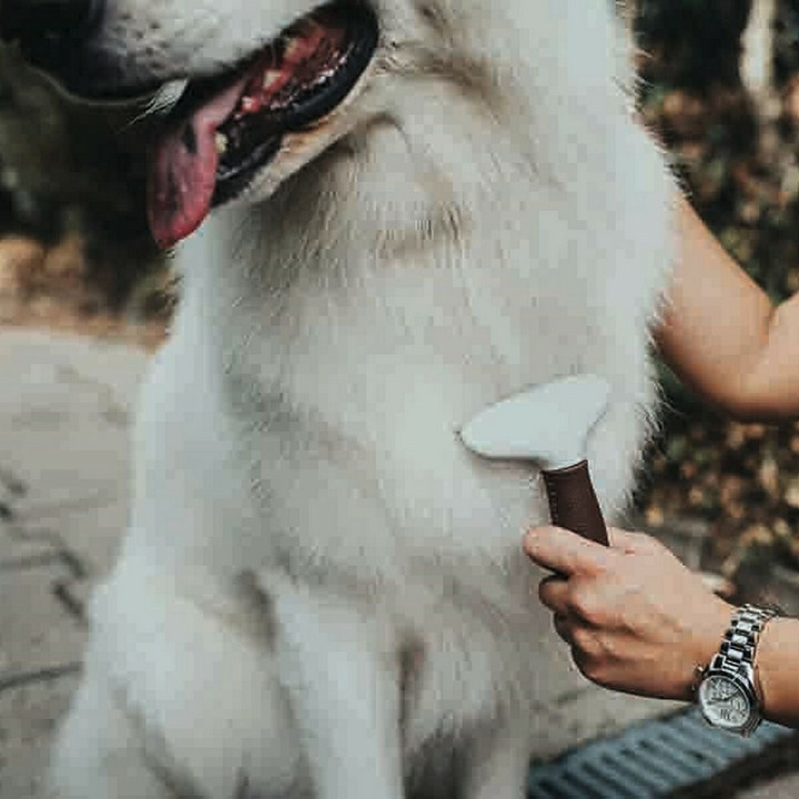 Ontwar Haarborstel Hunter Hark