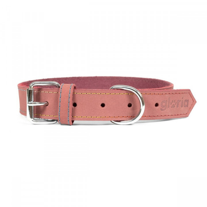 Hondenhalsband Gloria Oasis Roze (1,5 x 40 cm)