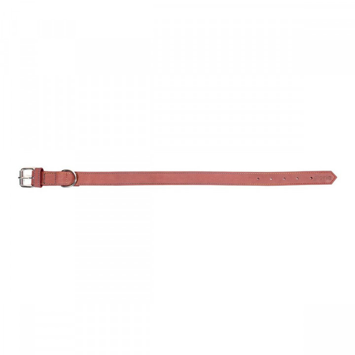 Collier pour Chien Gloria Oasis Rose (1,2 x 35 cm)