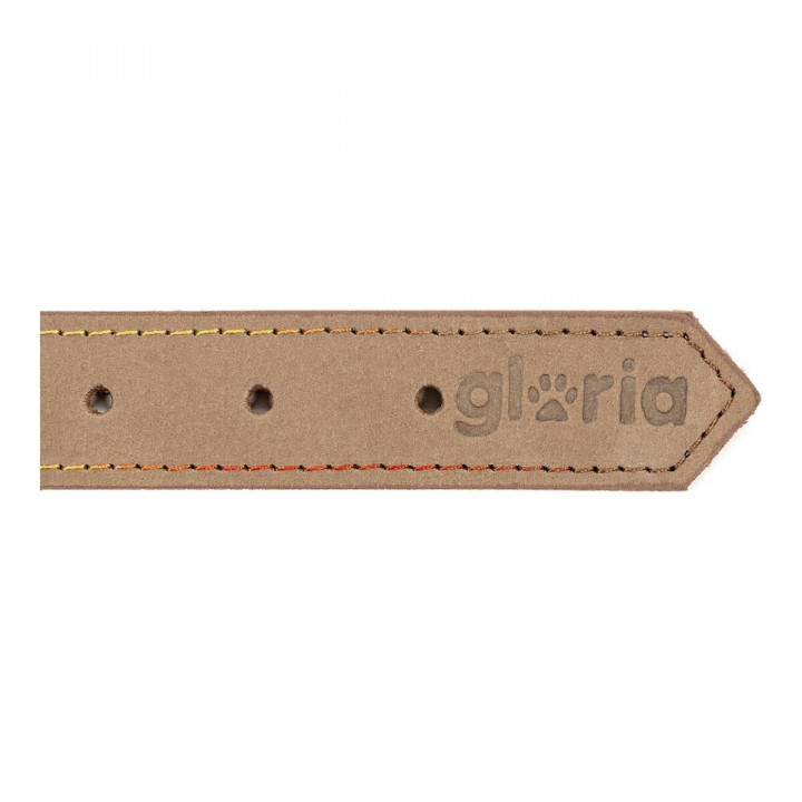 Collier pour Chien Gloria Oasis Blanc (1,5 x 40 cm)