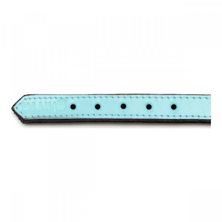 Collare per Cani Gloria Trapunta Azzurro (55 x 2,5 cm)