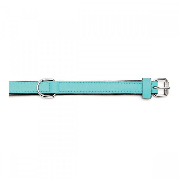 Collier pour Chien Gloria Rembourré Turquoise (50 x 2,5 cm)