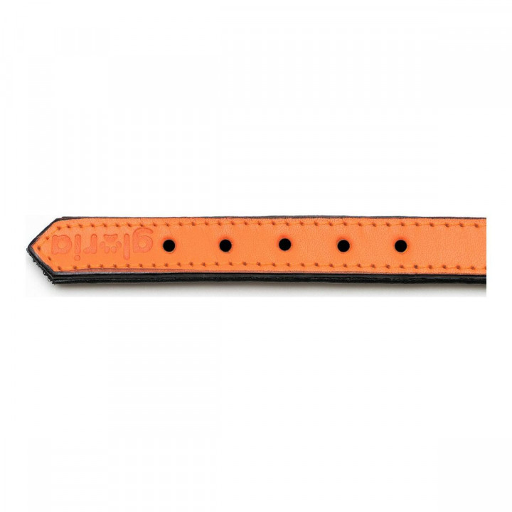 Hondenhalsband Gloria Gestoffeerd Oranje (35 cm) (35 x 1,5 cm)