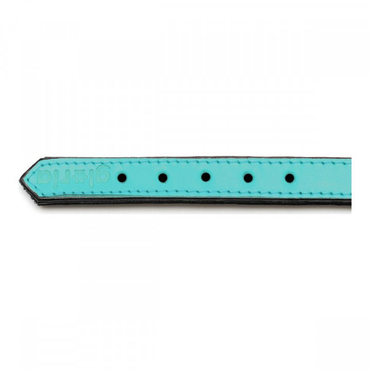 Collare per Cani Gloria Trapunta Turquoise 40 cm (40 x 2 cm)