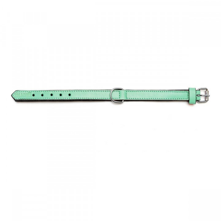 Hondenhalsband Gloria Gestoffeerd Groen (50 cm) (50 x 2,5 cm)
