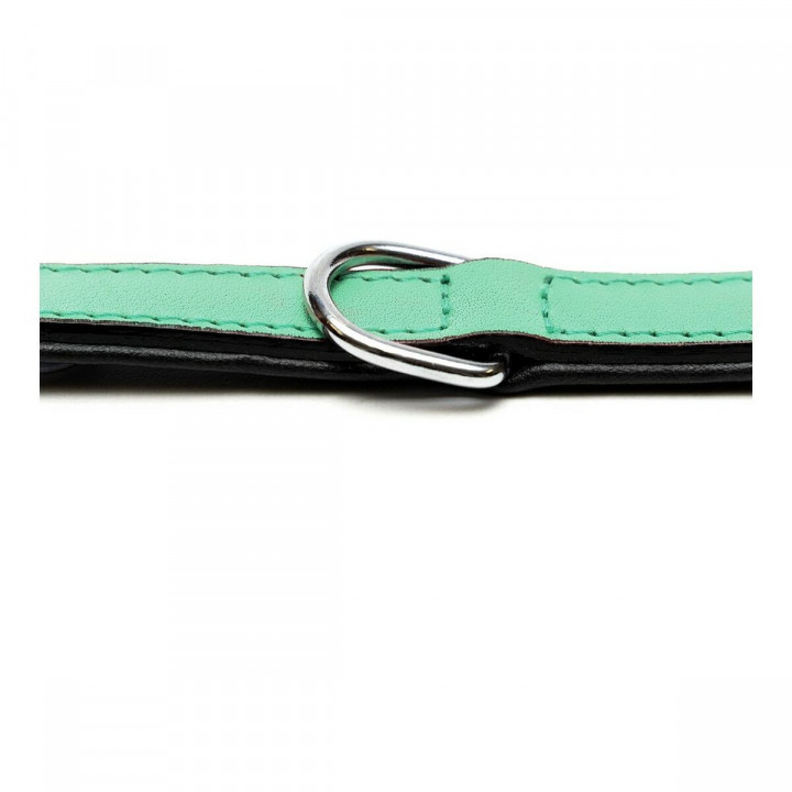 Hondenhalsband Gloria Gestoffeerd Groen (50 cm) (50 x 2,5 cm)