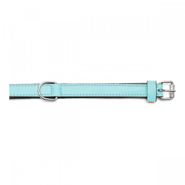 Collar para Perro Gloria Acolchado Azul (50 x 2,5 cm)