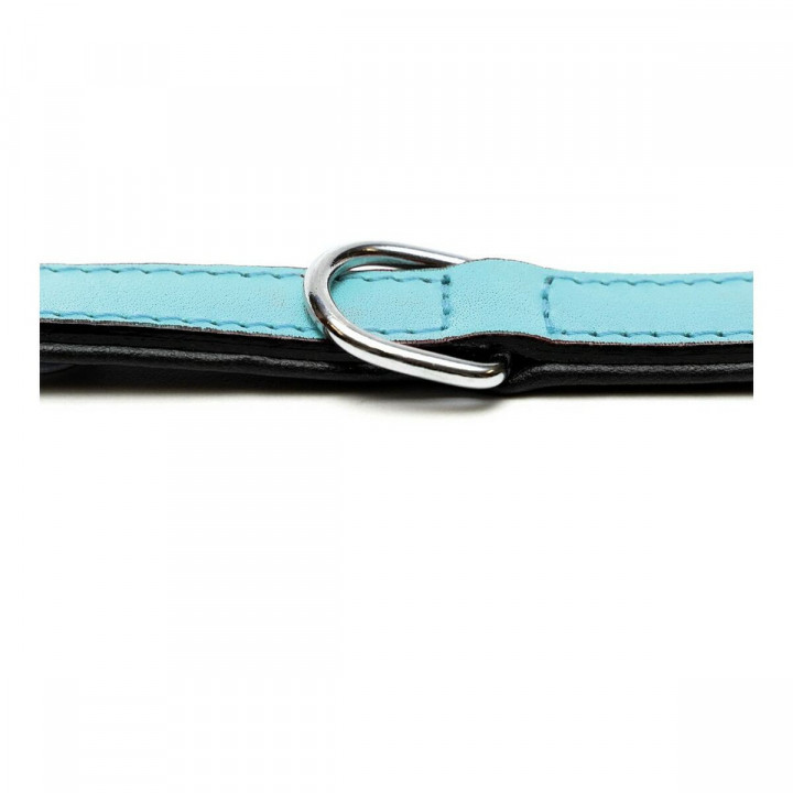 Hundehalsband Gloria Polsterung Blau 35 cm (35 x 1,5 cm)