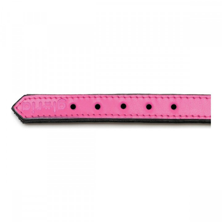 Collar para Perro Gloria Acolchado Fucsia (30 x 1,5 cm)