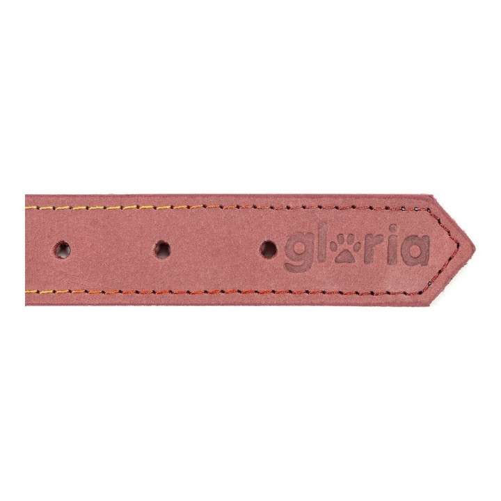 Dog collar Gloria Oasis Pink (65 x 3 cm)