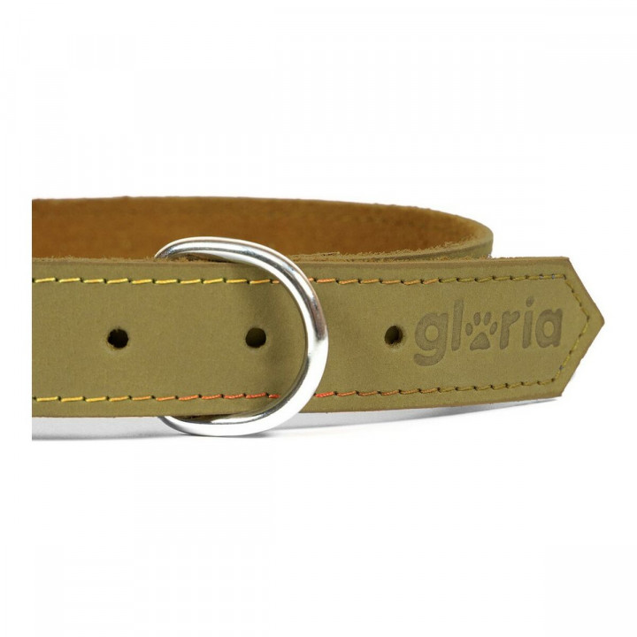 Hondenhalsband Gloria Oasis Groen (60 x 3 cm)