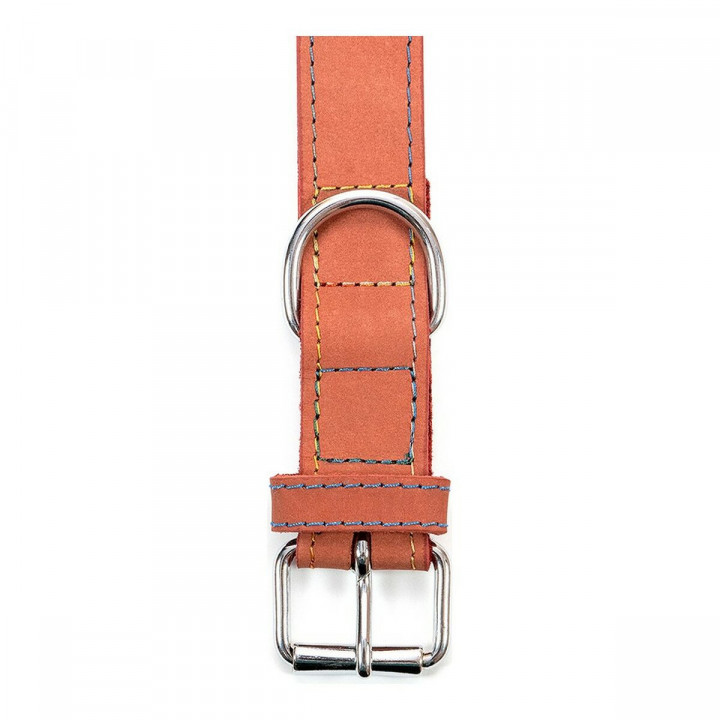 Collar para Perro Gloria Oasis Rojo (55 x 2,5 cm)