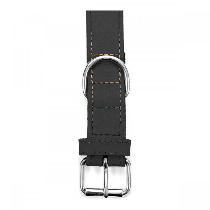Collar para Perro Gloria Oasis Negro (50 x 2,1 cm)