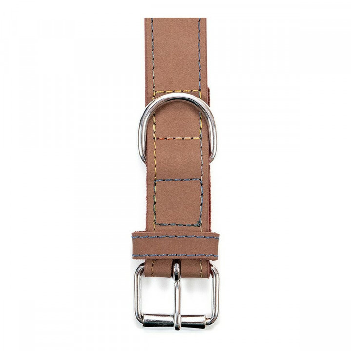 Hondenhalsband Gloria Oasis Bruin (50 x 2,1 cm)