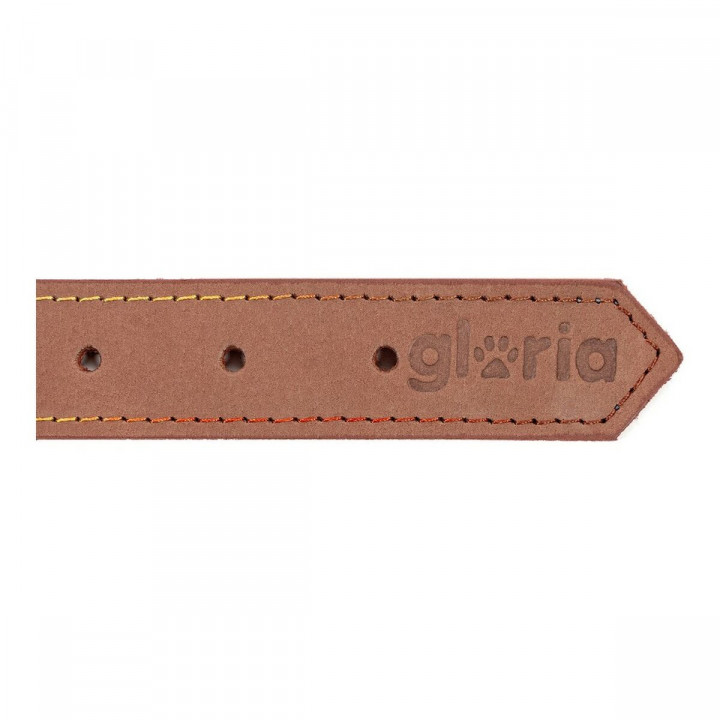 Collar para Perro Gloria Oasis Marrón (45 x 1,8 cm)
