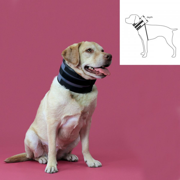 Collare Cervicale per Cani KVP Nero (10-41 cm)