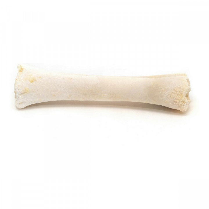 Dog Snack Gloria Veal Bone Calcium 20 Units
