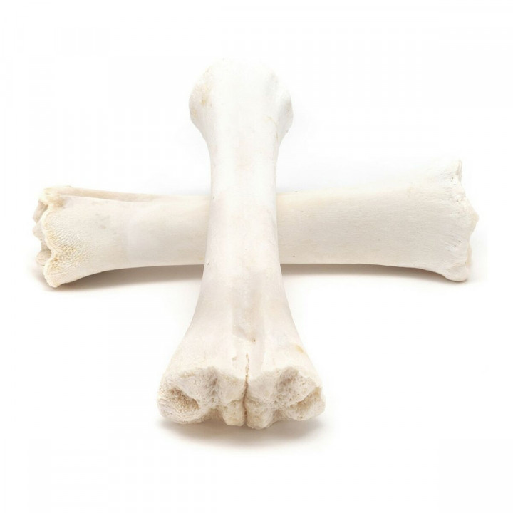 Snack pour chiens Gloria Veau Os Calcium 20 Unités