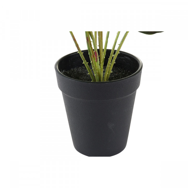 Dekorationspflanze DKD Home Decor Rosa grün PE (10 x 10 x 27 cm)