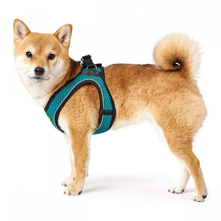 Harnais pour Chien Hunter Hilo Comfort 55-60 cm Taille M Turquoise