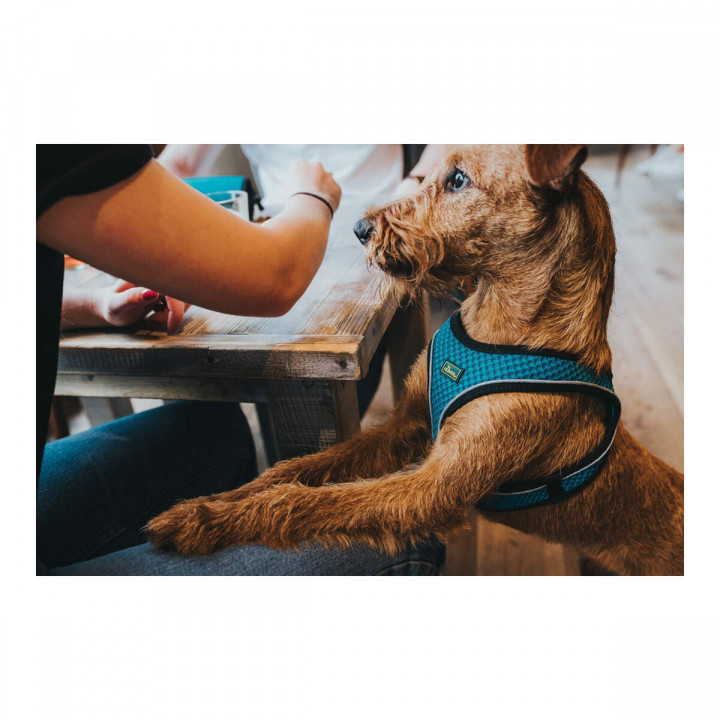 Hundegeschirr Hunter Hilo Comfort 55-60 cm Turquoise M