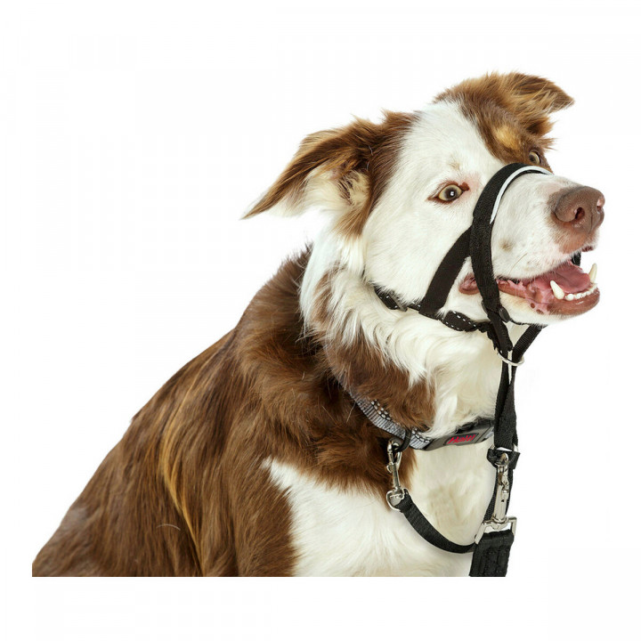 Trainingshalsbanden voor honden Company of Animals Halti Zwart Muilkorf (35-48 cm)