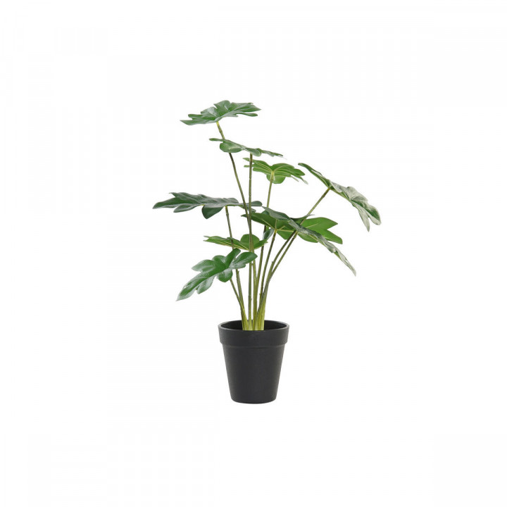 Dekorationspflanze DKD Home Decor grün PE (20 x 20 x 40 cm)
