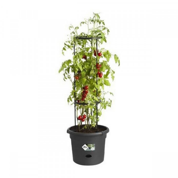 Vaso Elho Basics Tomato Nero (Ø 33 cm)
