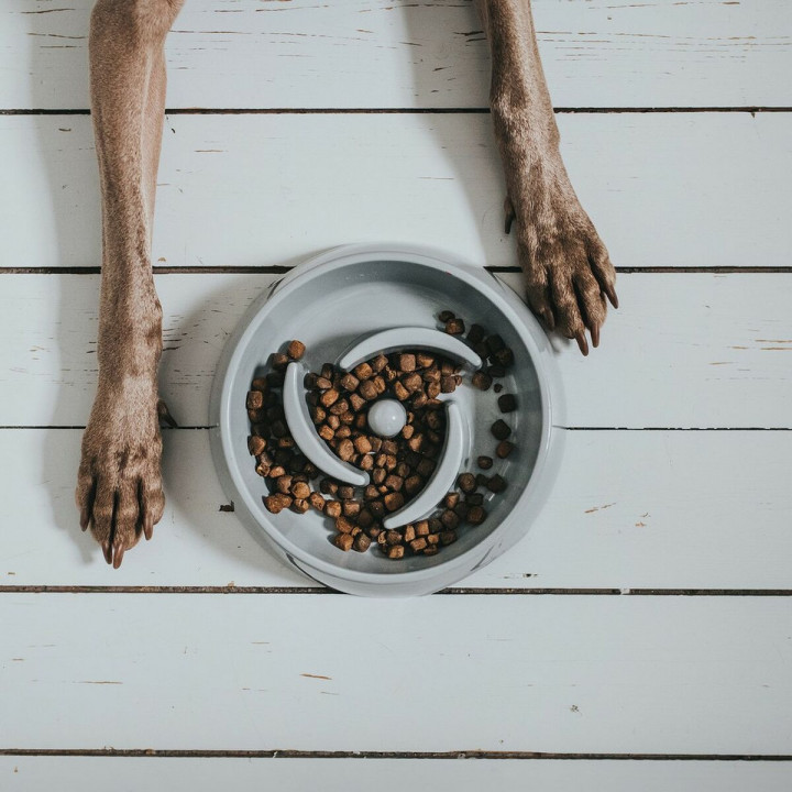 Voerbak voor honden Hunter Melamine 550 ml