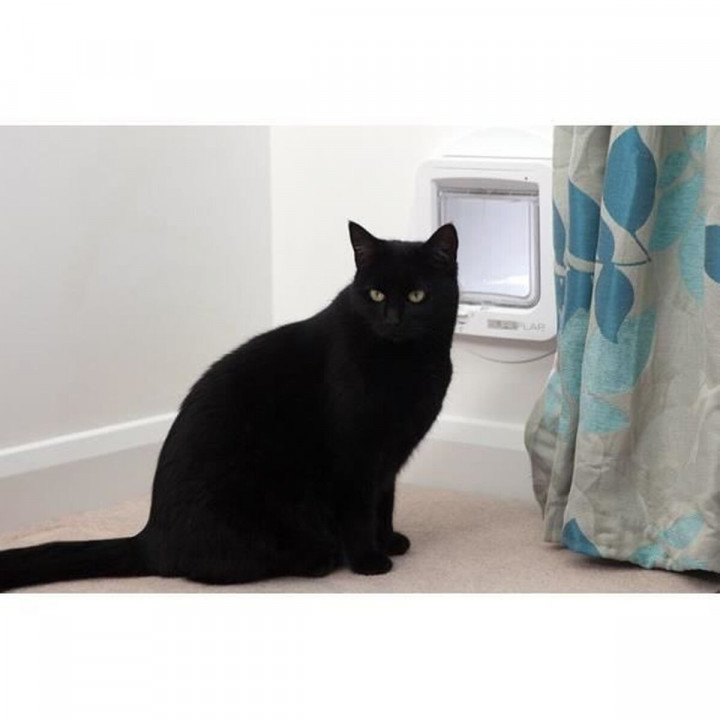 Trappe à chat SureFlap chip 70955