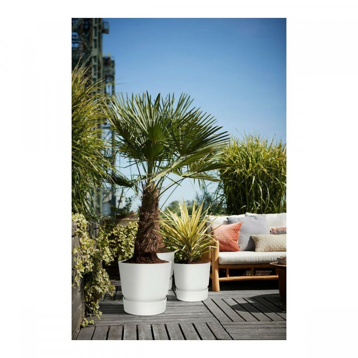 Pot Elho 0464344715000 Blanc Rond