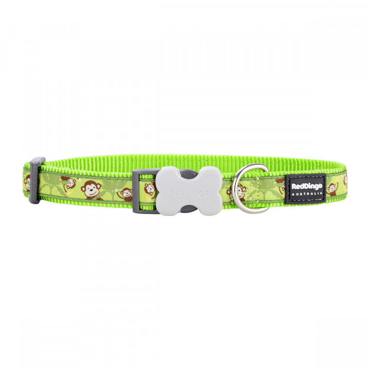 Collier pour Chien Red Dingo STYLE MONKEY LIME GREEN 15 mm x 24-36 cm