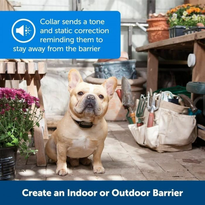 Collare antiabbaio PetSafe Nero noir