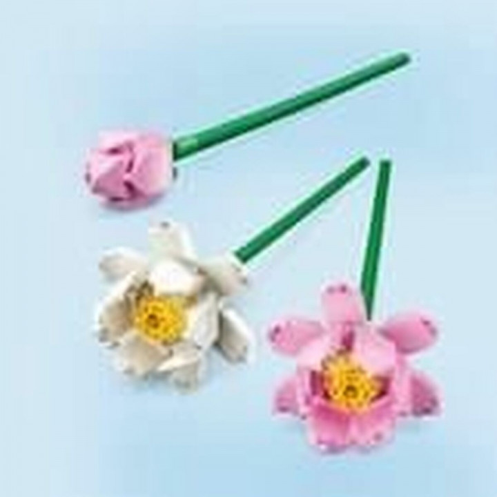 Set di Costruzioni Lego 40647 Lotus Flower Multicolore