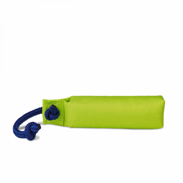 Giocattolo da allenamento Coachi