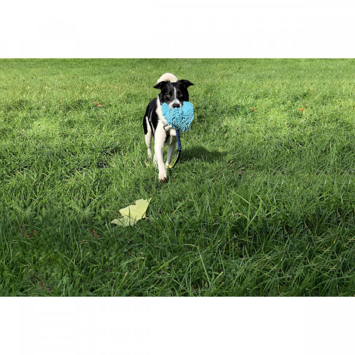 Training toy Coachi TUGGI HIDE Blue